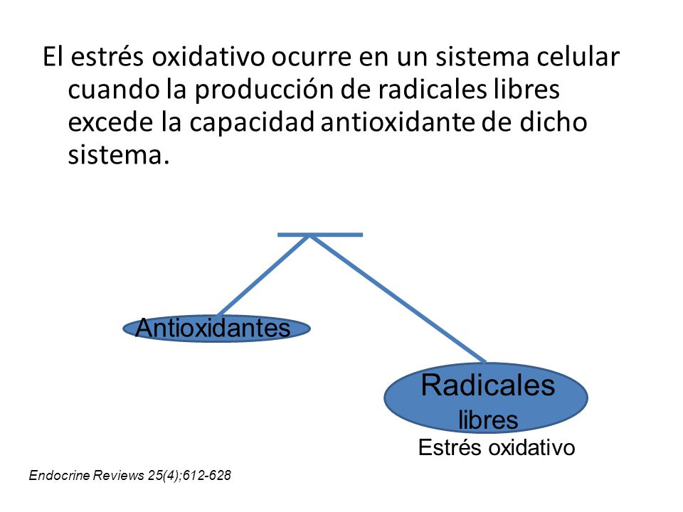 daño por radicales libres de superóxido y diabetes